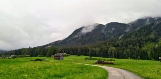 Green austrian fields