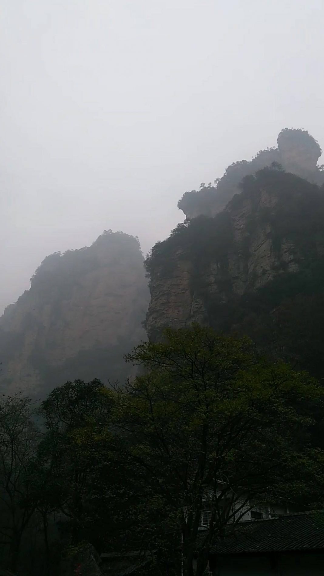Avatar mountains to Zhangjiajie National Park